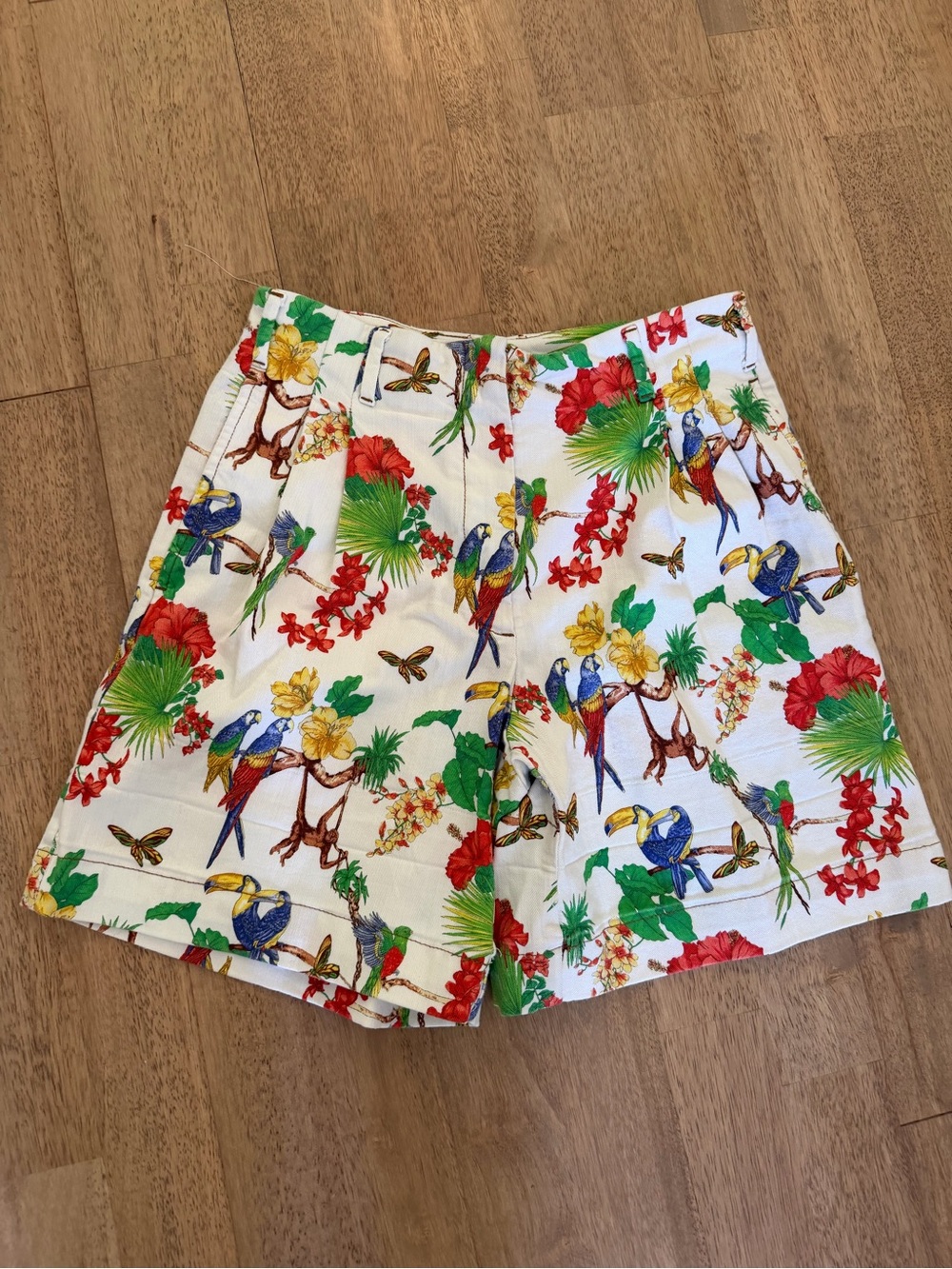 Etro Multicolor Tropical Parrot-Print Shorts on White